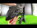 Jurassic World Unboxing Review Super Colossal Indoraptor Chaos Theory T-Rex Hatching Dinosaur Eggs