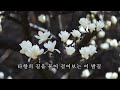 목련화 - 배호, 하모니카연주(A)