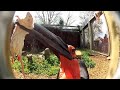 Zooperstars: Knoxville Zoo animals up close