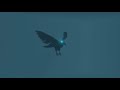 Crow first animation test