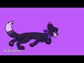 Here, have some filler! (Ravenpaw run cycle)
