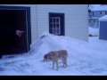 Doug In The Snow.