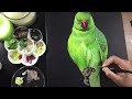 Parrot | Acrylic Painting | Timelapse