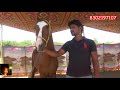 बालोतरा मेला 2020 - मारवारी और सिन्धी घोड़े  - Balotra Horse Market In Rajasthan, India