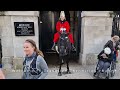 A Gentle Act of Kindness: King's Guard Moves Horse Closer to Special Lady at Horse Guards
