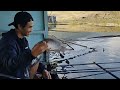 tidak kecewa mancing pagi di Wadaslintang #youtube #Palnodiengangler