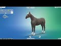 Sims 4: (random act experiments) part 1 Barb + Mule= ?