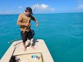 Catching jacks in a Caicos 16 off #elliot #key in #biscaynebay #florida out of #blackpoint #boatramp