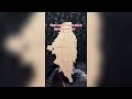 Dragon Puppet Crafts - Paper Dragon TikTok Compilation #141
