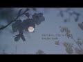 꽃잎에 새긴 사랑 - 차도균 cover / by 올라(Hola)