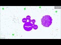 Agar.io - Last Man Standing: Playing on an empty Server