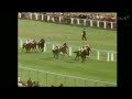 HQ Footage as Nijinsky completes The Triple Crown in 1970.Racing Legend.