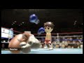 Wii Sports Boxing KO 5