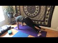 My Virtual Yoga Studio 011 - Level 1 (Iyengar Yoga) - May 6, 2020 - Hello Danielle