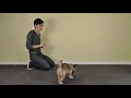 Teach Dog to Stop Barking - Bark and Quiet on Cue