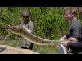 Gordon And Jack Ramsay Hunt For A Burmese Python | Season 1 Ep. 8 | THE F WORD