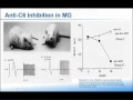 James Howard, M.D. - The Role of Complement in Myasthenia Gravis