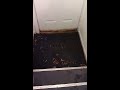 Water Entering The House With Each Passing Car
