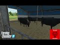 Can you make money - Beef Cattle- MaizePlus - FS22