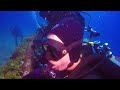 Shark Dive Jupiter Florida July 2019 video #8