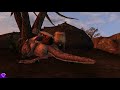 Bethesda's Last Hope - The Elder Scrolls III Morrowind