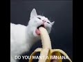 low quality banana man
