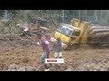 600 MOST Dangerous Biggest Wood Logging Truck | Amazing Heavy Equipment Machinery Operator Truck