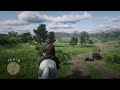 What did I just witness?😦 RDR2
