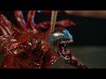 Sculpting CARNAGE | Venom Let There Be Carnage