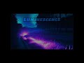 Luminescence - Cold_Toast_Music