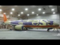 Airliner Painting