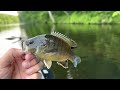 Fishing at Pounds Hollow Lake