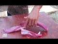 (AGE 16) EXPERT CUTTING SKILL  GIANT BLUEFIN TUNA FISH