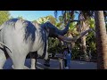 San Diego Zoo Full Tour - Exhibits, Tips & Animal Information