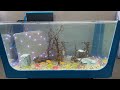 Ideas with cement - Make your own fish tank at home using a plastic table