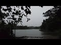 4K Walking In The Rain : First Person POV in MacRitchie Reservoir Lornie Trail Singapore Rain Walk