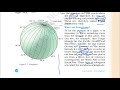 NCERT 6th Class Geography The Earth:Our Habitat Chapter 2 (Globe: Latitudes and Longitudes) UPSC/PSC