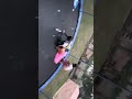 Me and my friend doing a challenge on a trampoline
