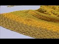 Easy Stevie Nicks INSPIRED Huge Crochet Shawl Tutorial - Gold Dust 🌟