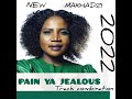 Pain ya Jealous Ft. BIGDOM || MAKHADZI MIXTAPE