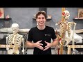 How Your Bones Change With Exercise