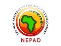 nepad arf