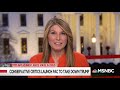 Republican Strategists Using Their Methods To Defeat The Republican President | Deadline | MSNBC