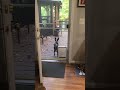 Hedi and Björn Vs The Screen Door