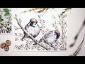 Ink and Watercolour Bird Illustration • Relaxing Art Time Lapse • Spring Walk