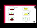 BACTERIAL GENETICS - TRANSDUCTION - PART TWO @noorjahanpc6292