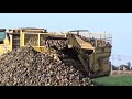 sugarbeet harvest 2011