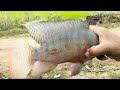 Part 3. PAGBABALIK MULING BINIYAYAAN JACKPOT NANAMAN|Airgun Fishing|Fishgunerong Madiskarte