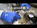 Agar Dilution (MIC) Susceptibility Test Method