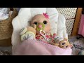 Feeding winter! ❄️🩷 no talking || baby alive doll